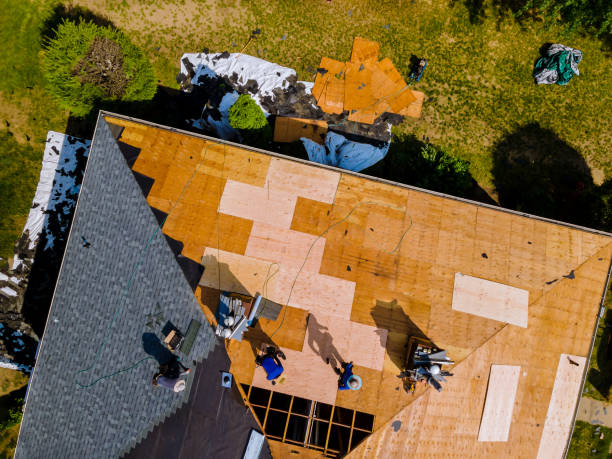 Best Storm Damage Roof Repair  in Mccordsville, IN